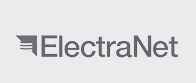 Electranet